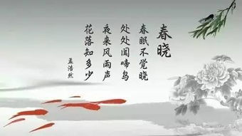 唐關(guān)于皮影戲的詩(shī)句