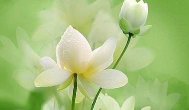 關(guān)于山的詩(shī)句優(yōu)美句子