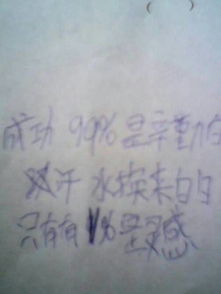 關(guān)于努力的詩(shī)句或格言