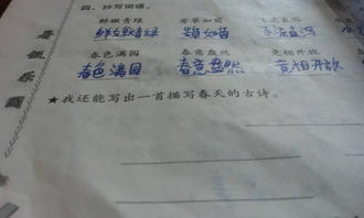 關(guān)于描寫(xiě)春天的詩(shī)句古詩(shī),描寫(xiě)春天花的詩(shī)句古詩(shī),描寫(xiě)春天柳樹(shù)的詩(shī)句古詩(shī)
