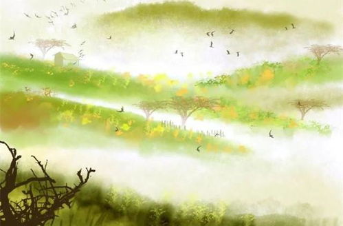 花開(kāi)遍地的古詩(shī)句