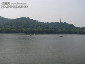 綠水青山總是情搞笑詩(shī)句,綠水青山總是情的意思,綠水青山總是情的歌詞