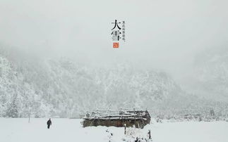 關(guān)于雪的詩(shī)句詞語(yǔ)