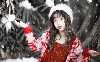關(guān)于雪中美人的詩(shī)句