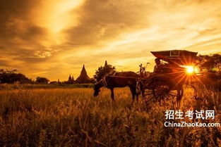 夕陽(yáng)落日的古詩(shī)句6