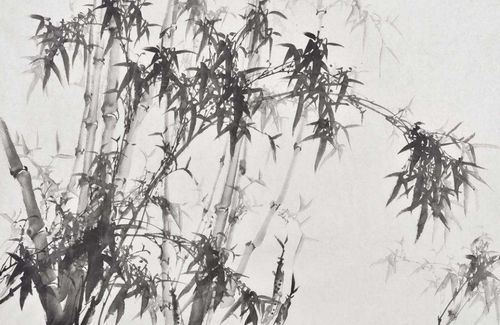 描寫(xiě)竹的古詩(shī)經(jīng)典詩(shī)句