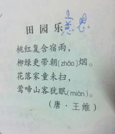 關(guān)于不理的詩(shī)句是什么意思是什么意思是什么