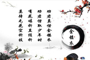 含有及的詩(shī)句古詩(shī)