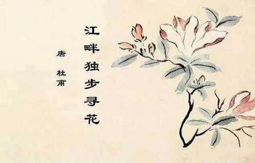 關(guān)于尋花的詩(shī)句
