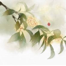 描寫(xiě)桂林桂花香的古詩(shī)句