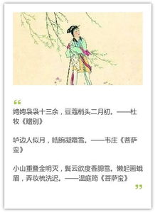 贊美女子嬌好的古詩(shī)句