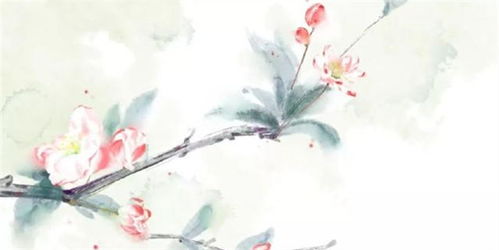 杜甫蝴蝶蜻蜓的詩(shī)句,蜜蜂蝴蝶蜻蜓的詩(shī)句,杜甫描寫(xiě)蝴蝶和蜻蜓的詩(shī)句