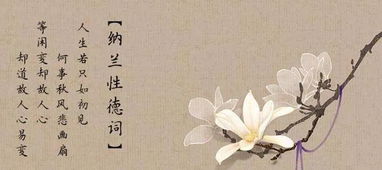 淡薄,詩(shī)句