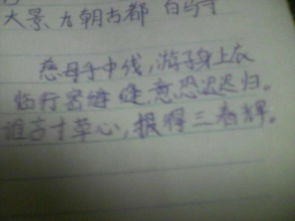 贊美白沙洲的古詩(shī)句