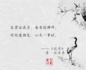 歌頌老師的詩(shī)句古詩(shī)