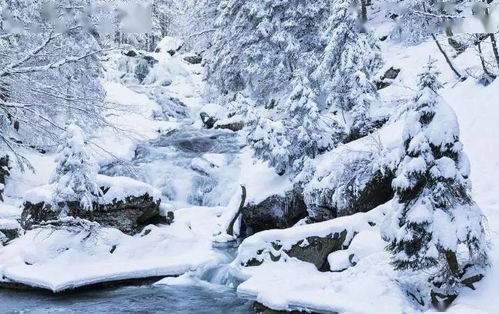 描寫(xiě)雪景的詩(shī)句和古詩(shī)