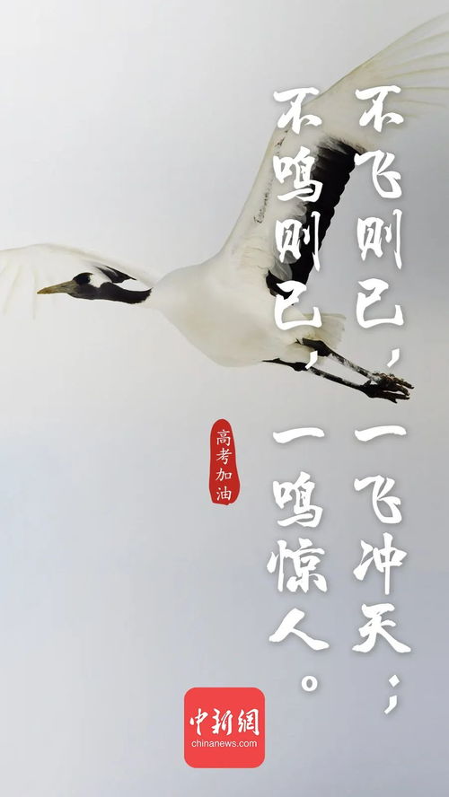 詩(shī)句,考古