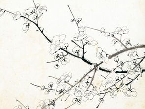 關(guān)于梅花的詩(shī)句及意