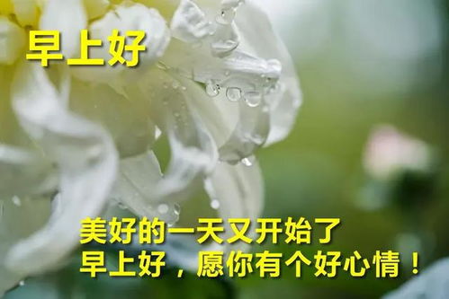關(guān)于早上陽(yáng)光詩(shī)句