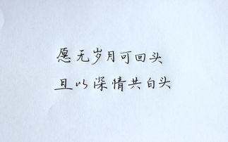 傷感古詩(shī)句事業(yè)不順
