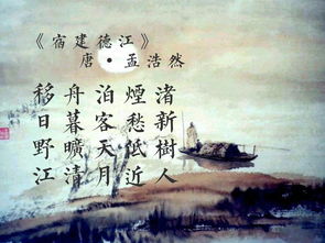 有關(guān)于詩(shī)人情感的詩(shī)句