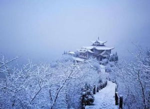 20句描寫(xiě)雪的古詩(shī)句