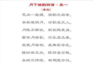 古詩(shī)里有關(guān)漂亮衣服的詩(shī)句