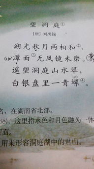 詩(shī)句,我自
