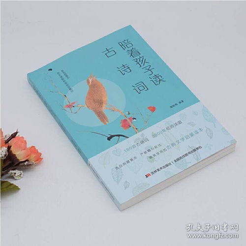 古詩(shī),詩(shī)句,小學(xué)生,詞中