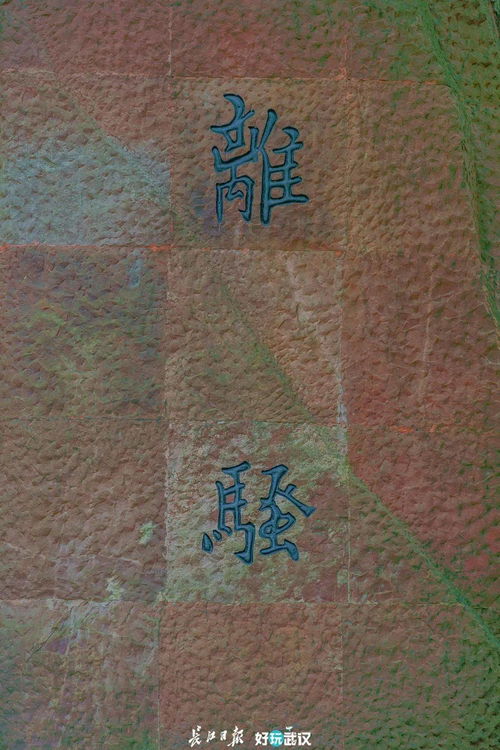 關(guān)于《彷徨》的詩(shī)句