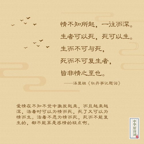 詩(shī)句,心疼