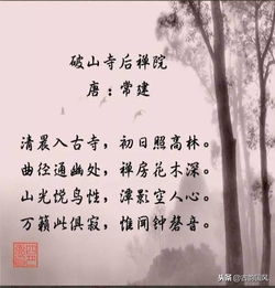 古詩(shī)句對偶句,古詩(shī)句對偶初一,古詩(shī)是對偶還是對仗