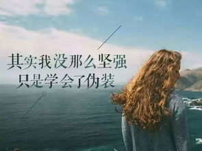 詩(shī)句,會(huì )了,我學(xué),堅強