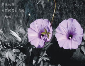 關(guān)于春雨作文引用詩(shī)句