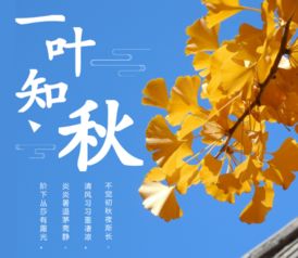 有關(guān)樹(shù)葉的詩(shī)句古詩(shī)
