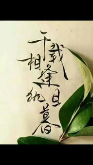最美的幾句古詩(shī)句