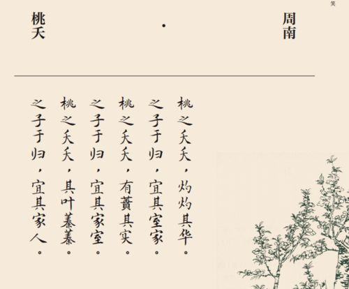表達愛(ài)意的詩(shī)句古詩(shī)