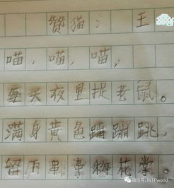 詩(shī)句,作者