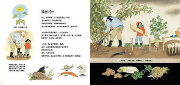 描寫(xiě)讀書(shū)不負春光的古詩(shī)句