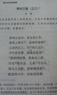 描寫(xiě)狗的古詩(shī)句