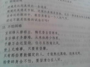 關(guān)于面對逆境的詩(shī)句