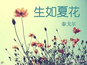 泰戈爾關(guān)于花兒的詩(shī)句