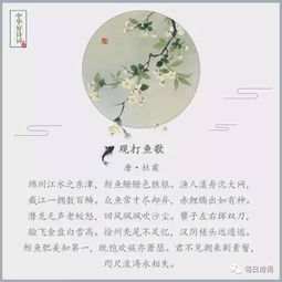 古詩(shī)中寫(xiě)美食的詩(shī)句