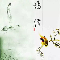 唯美古詩(shī)句壽手