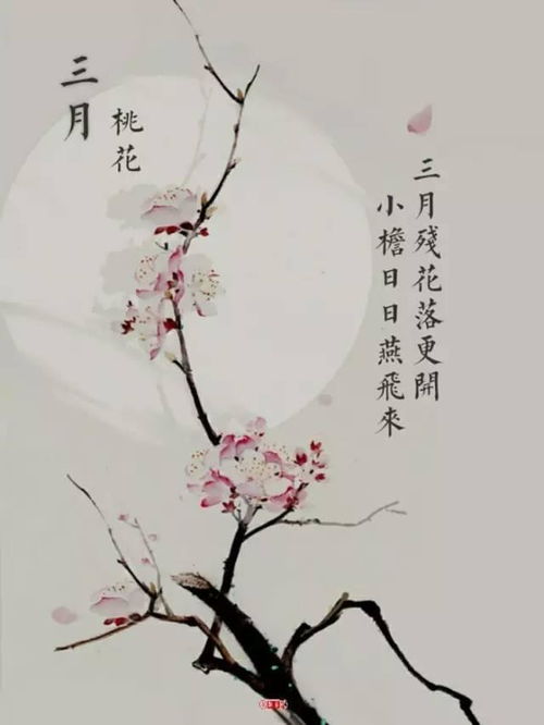 關(guān)于描寫(xiě)春花的詩(shī)句古詩(shī),有關(guān)春花的詩(shī)句古詩(shī),關(guān)于春花的詩(shī)句古詩(shī)小學(xué)