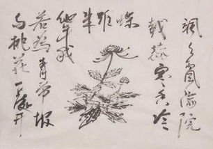 古詩(shī),祭奠,詩(shī)句,菊花