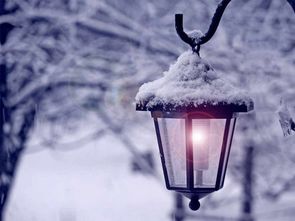 關(guān)于大雪的詩(shī)句i