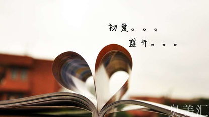 含古詩(shī)句的小學(xué)畢業(yè)贈言