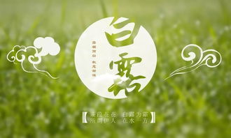 關(guān)于白露的古詩(shī)詞詩(shī)句
