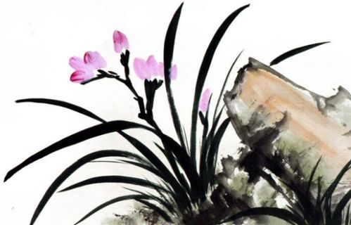 古詩(shī),詩(shī)句,描寫(xiě),花卉